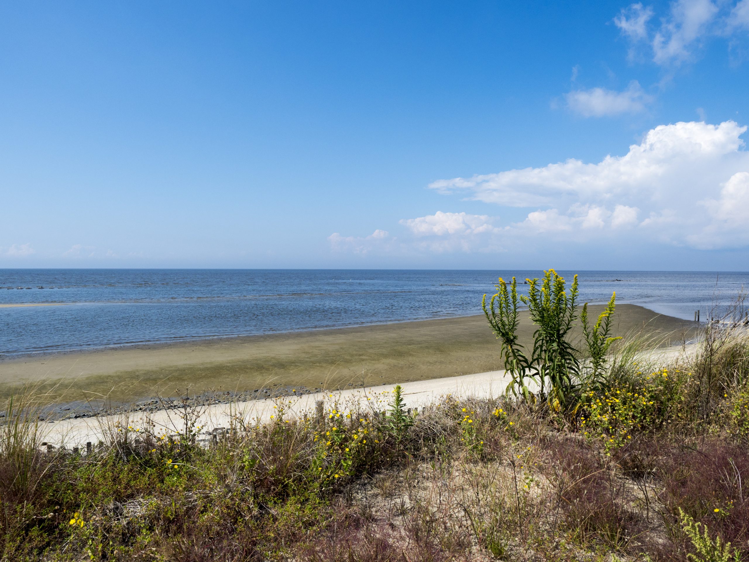 Featured image for “Rutgers to Lead $16 Million in Climate Projects Along New Jersey Coast”